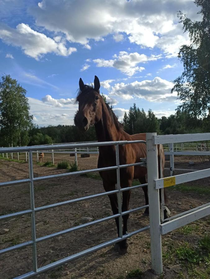 ミッケリBb Polle - With The Horse Viewアパートメント エクステリア 写真